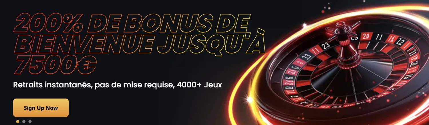 Promotional Banner
